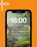 Super Kit 10 Essências Para Umidificador Aromatizador e Difusor Elétrico 15ml